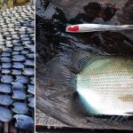 Jaga Sumber Daya Ikan, Nelayan Suwi Indah Pakai Alat Tangkap Tradisonal