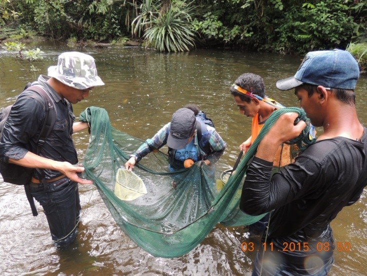 Fresh water fish survey in cooperation with Cendrawasih University, Jayapura, found endemic species of Mimika 