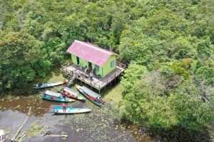 Pondok Kerja di Lahan Basah Suwi, yang akan menjadi base camp survei dan kegiatan lapangan lainnya.