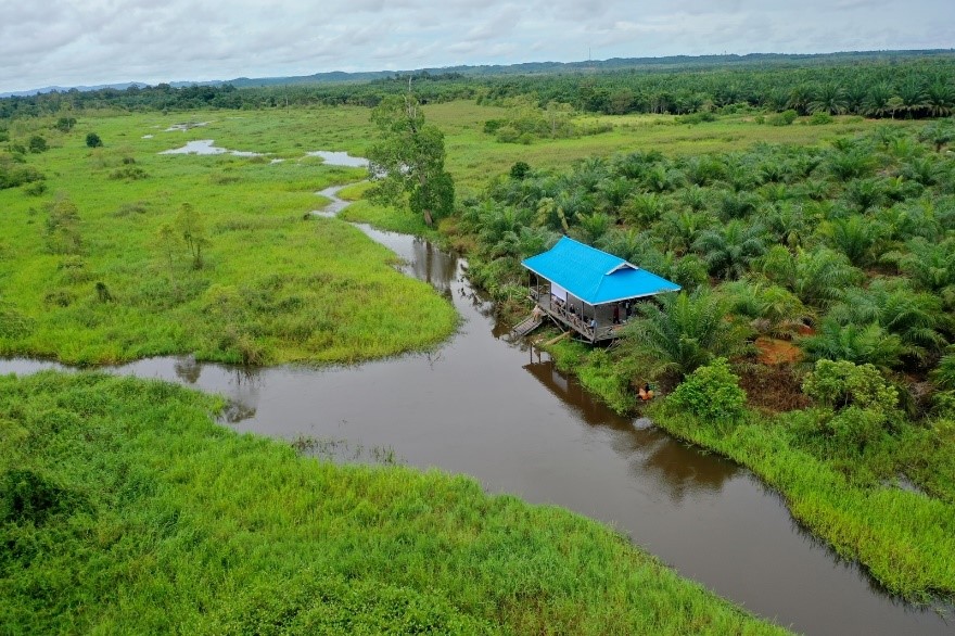 Luah Lahung Potensi Wisata Lahan Basah Di Long Mesangat Yasiwa