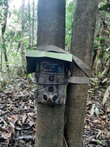 Pemasangan kamera jebak di pohon, foto oleh Nur Linda