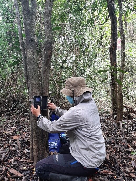 Monitoring Satwa Liar Dengan Kamera Jebak Kamera Trap Di Kawasan