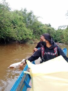 Pengambilan sampel plankton menggunakan plankton net di Sungai Suwi