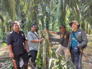 Ground check atas penggunaan lahan dilakukan oleh Tim pemetaan desa bersama Tim Konsorsium.